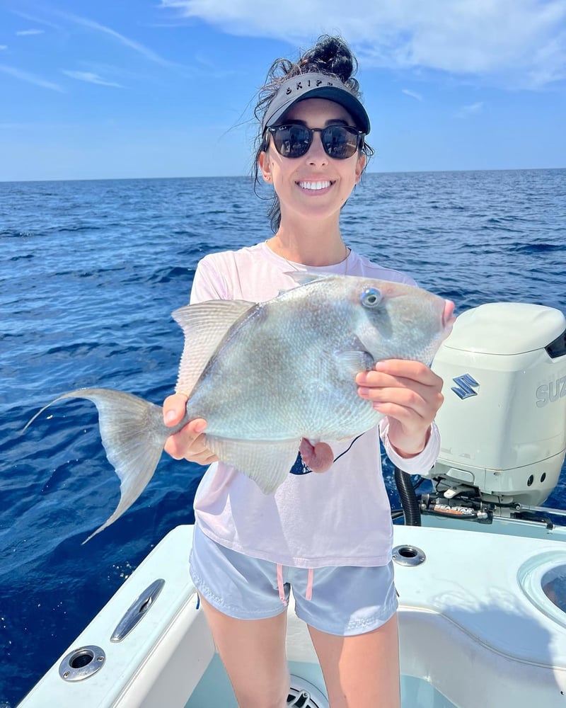 St. Petersburg Close Offshore In Treasure Island