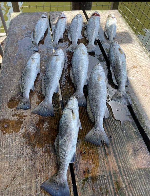 Texas City Inshore Roundup In Texas City