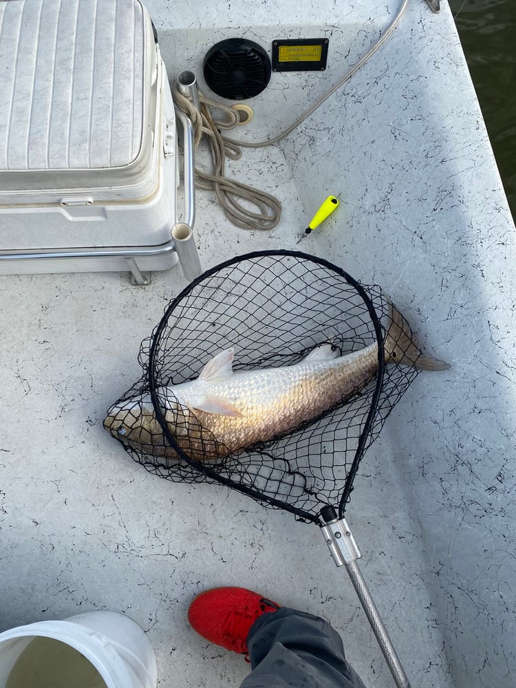 Texas City Inshore Roundup In Texas City