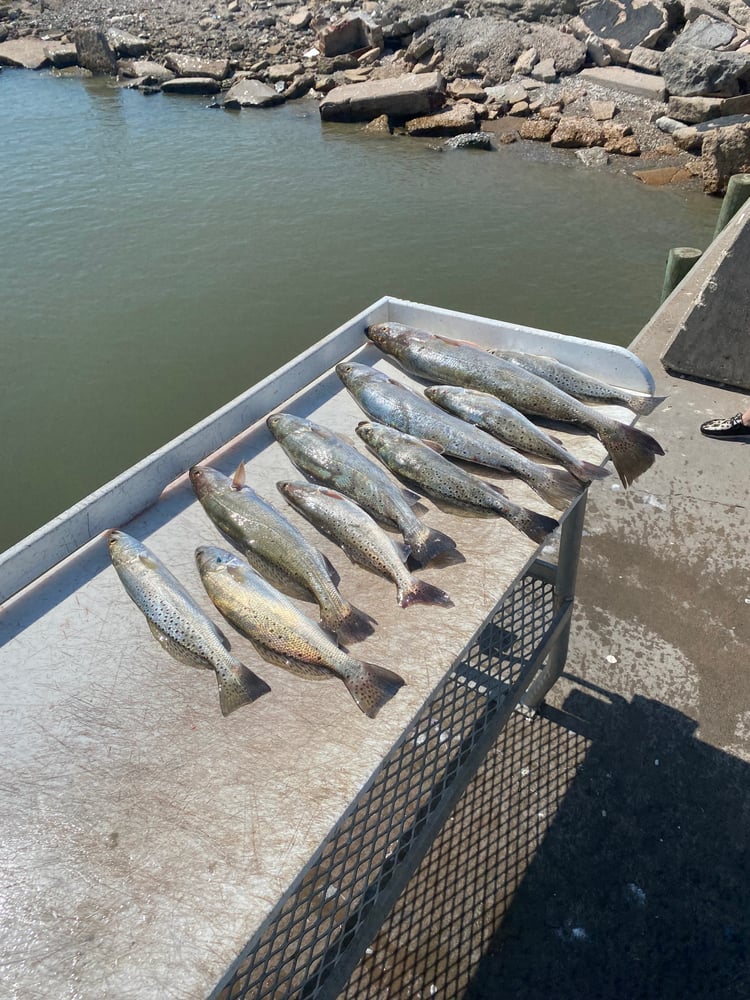 Texas City Inshore Roundup In Texas City