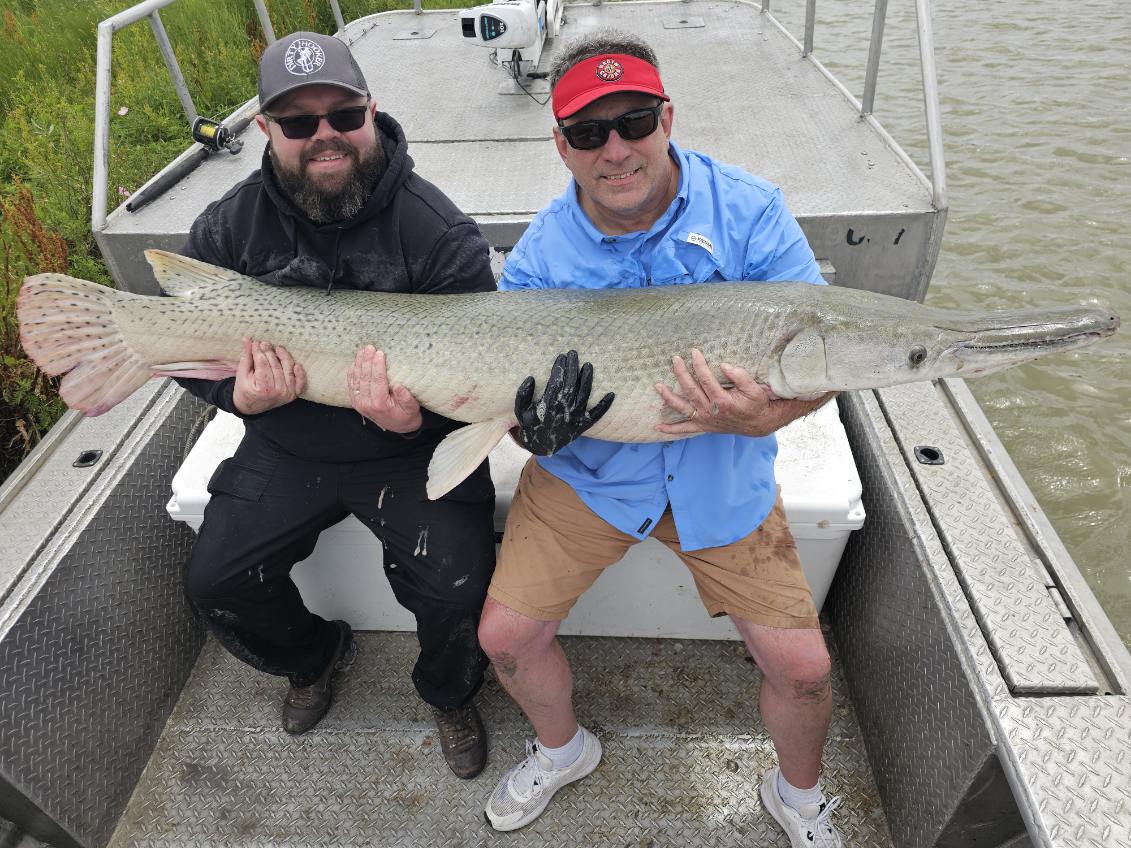 Trophy Alligator Gar Bowfishing In Houston