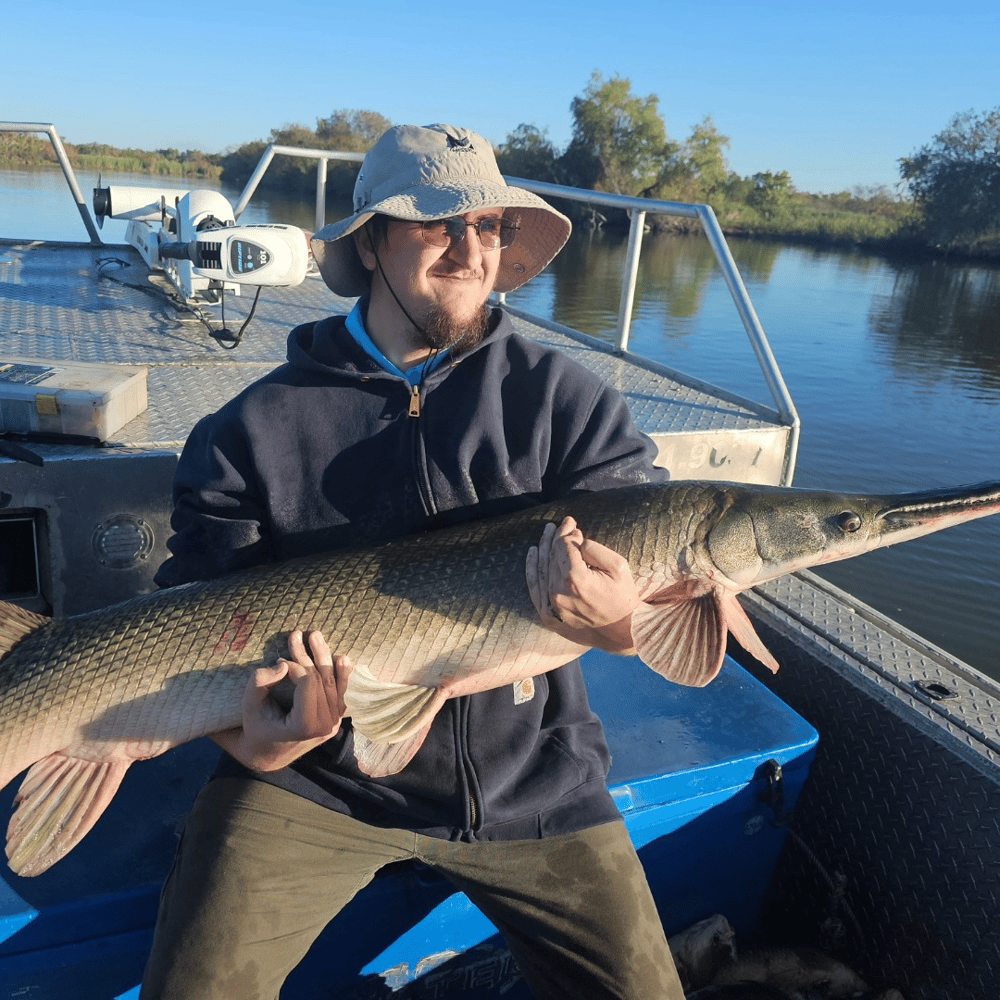 Trophy Alligator Gar Bowfishing In Houston