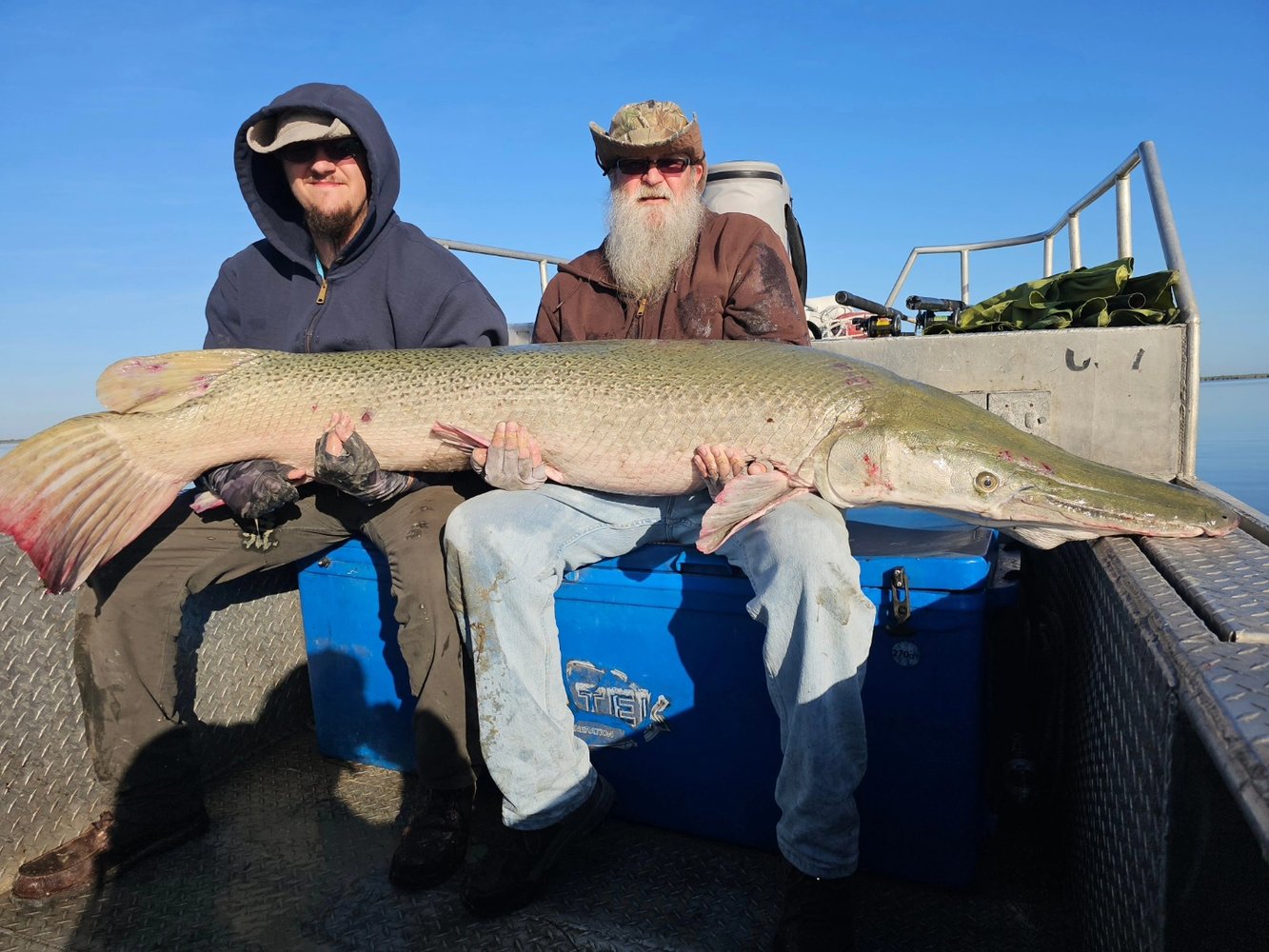 Trophy Alligator Gar Bowfishing In Houston