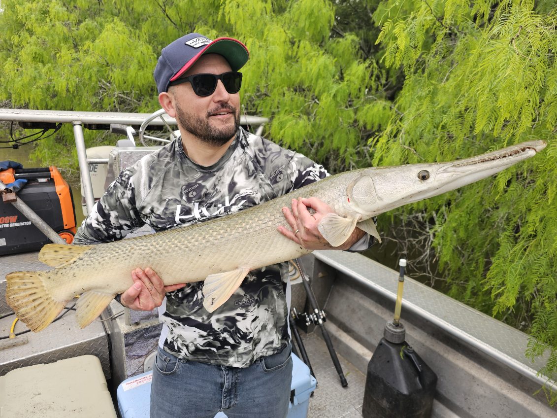 Trophy Alligator Gar Bowfishing In Houston