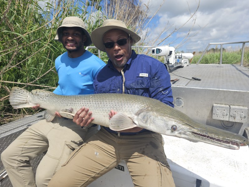 Trophy Alligator Gar Bowfishing In Houston