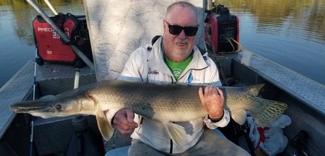 "Alpha" Alligator Gar Bowfishing In Houston