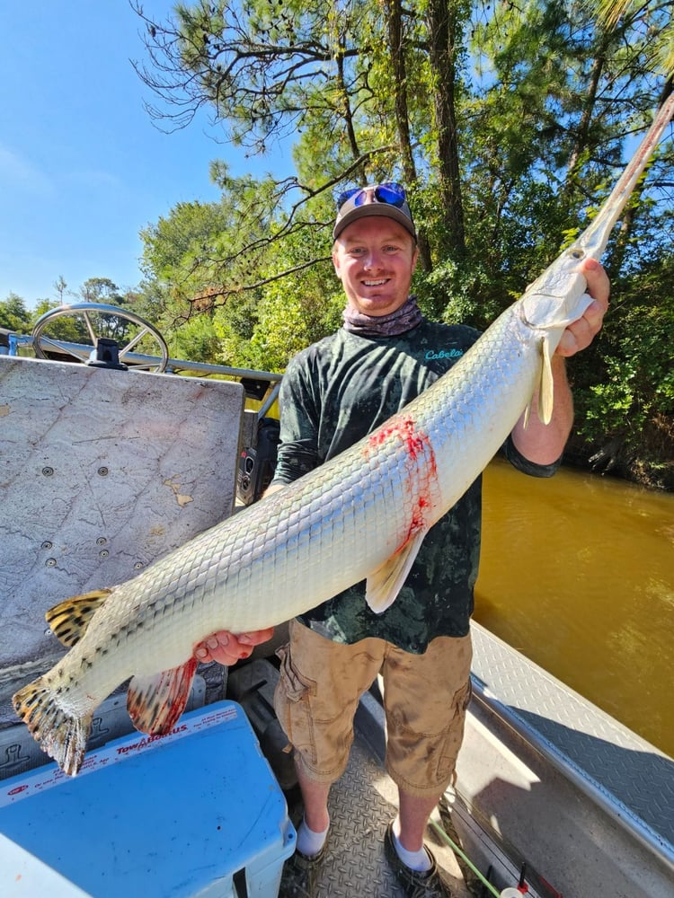 "Alpha" Alligator Gar Bowfishing In Houston