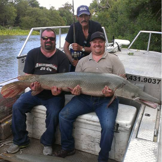 "Alpha" Alligator Gar Bowfishing In Houston