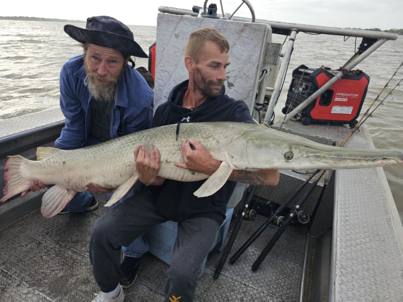 "Alpha" Alligator Gar Bowfishing In Houston