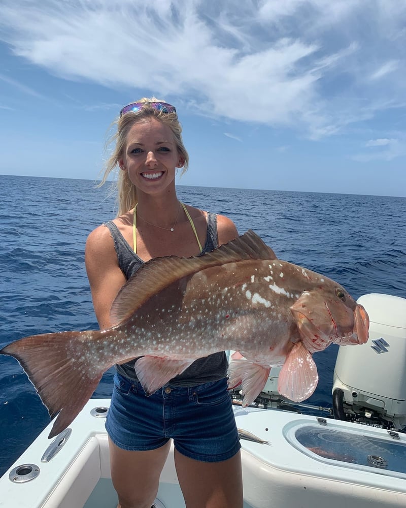 St. Pete Seasonal Snapper Run In Treasure Island