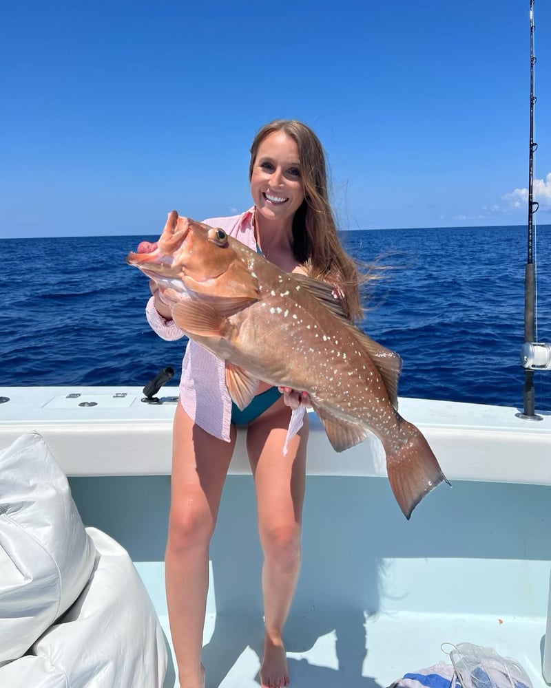 St. Pete Seasonal Snapper Run In Treasure Island