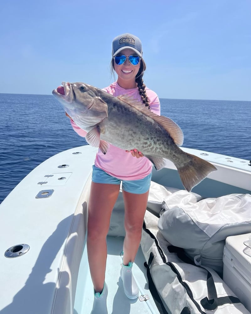 St. Pete Seasonal Snapper Run In Treasure Island