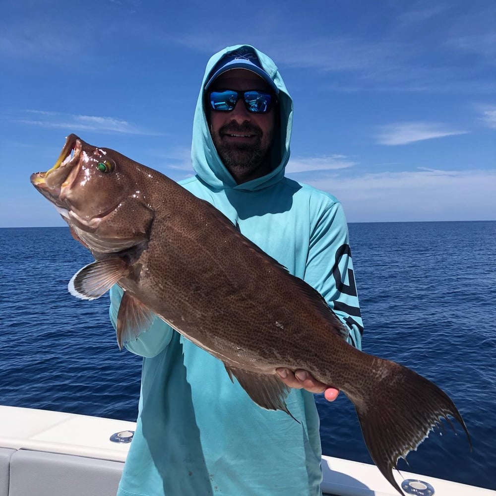 St. Pete Seasonal Snapper Run In Treasure Island