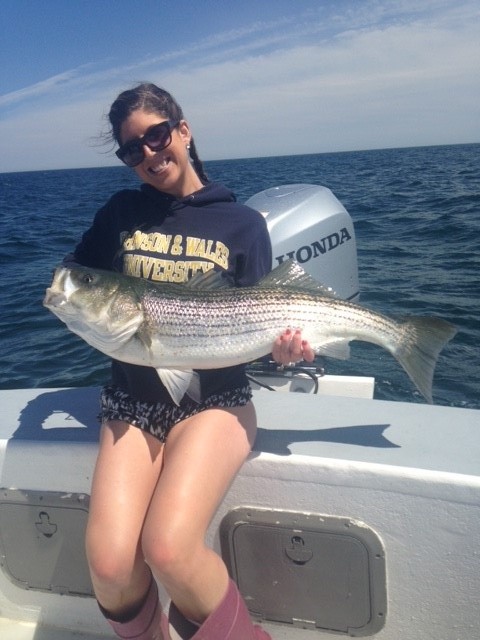 Early Season Striper - 26’ In Chatham