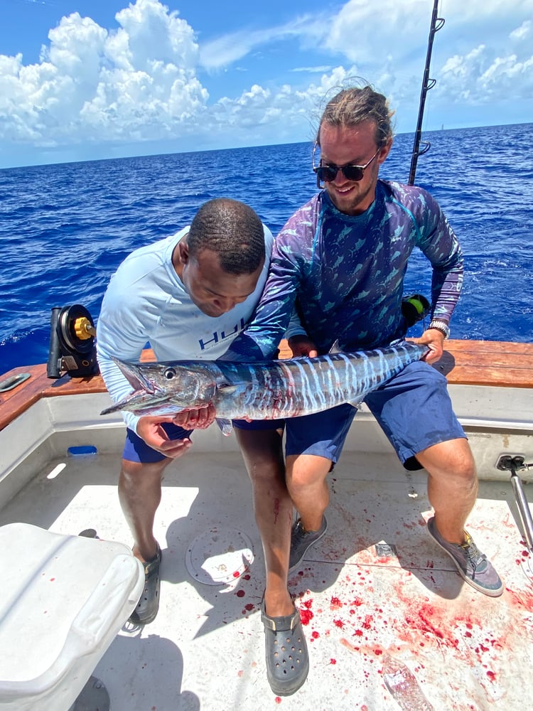 Offshore Fishing,Reef & Wreck And Sunset In Key West