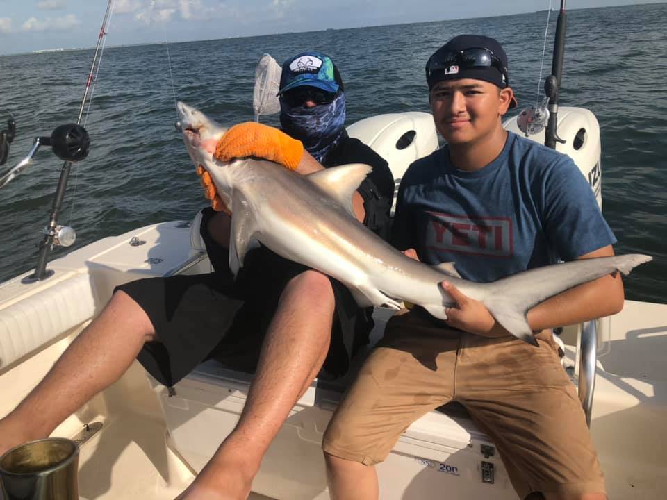 Shark And Bull Drum Trip In Galveston