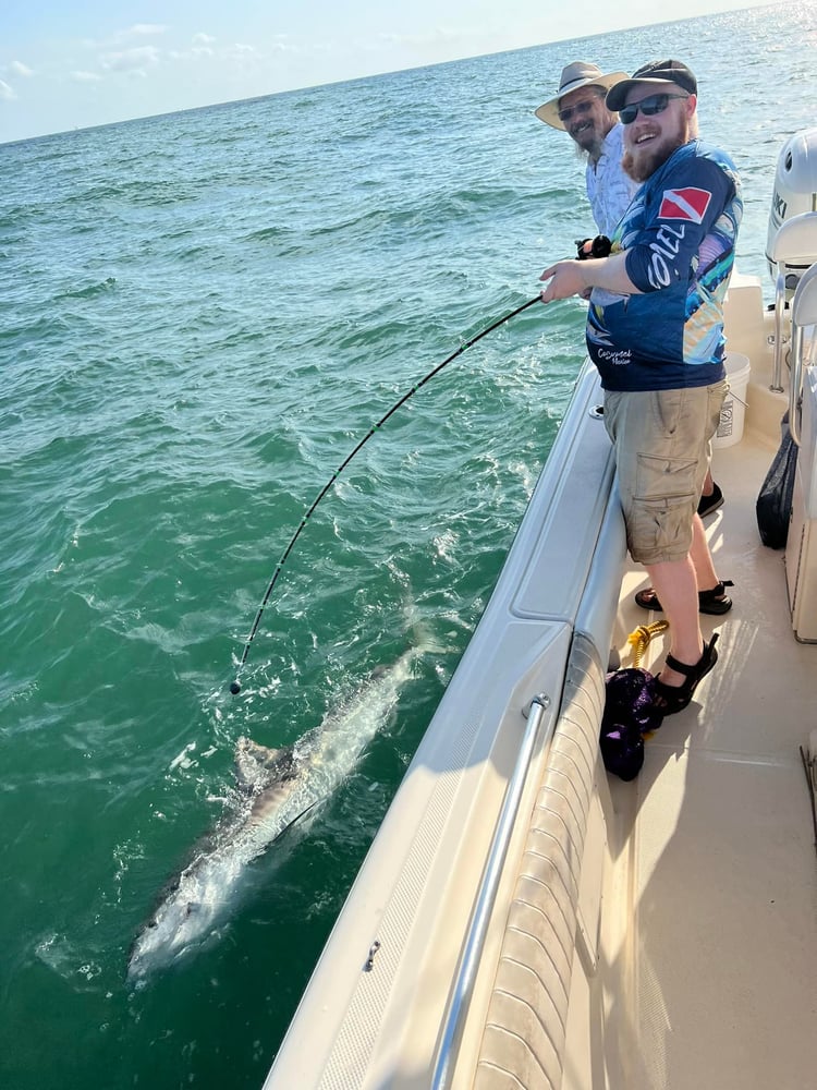 Shark And Bull Drum Trip In Galveston