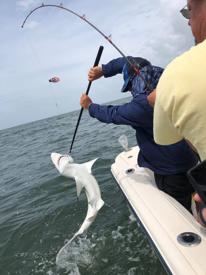 Shark And Bull Drum Trip In Galveston