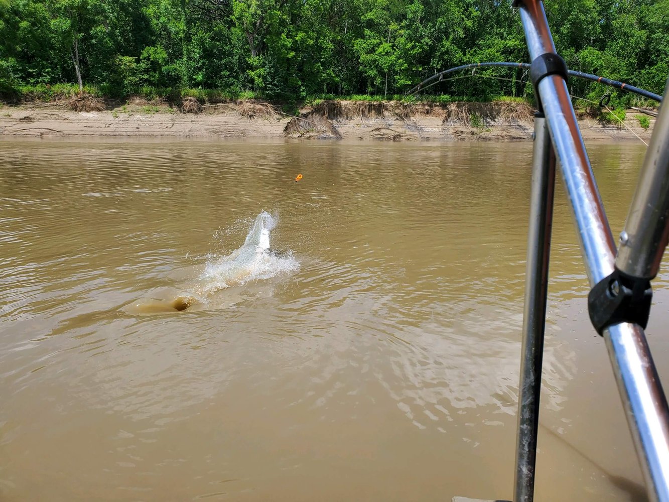 Gar Fishing Trip In Corsicana