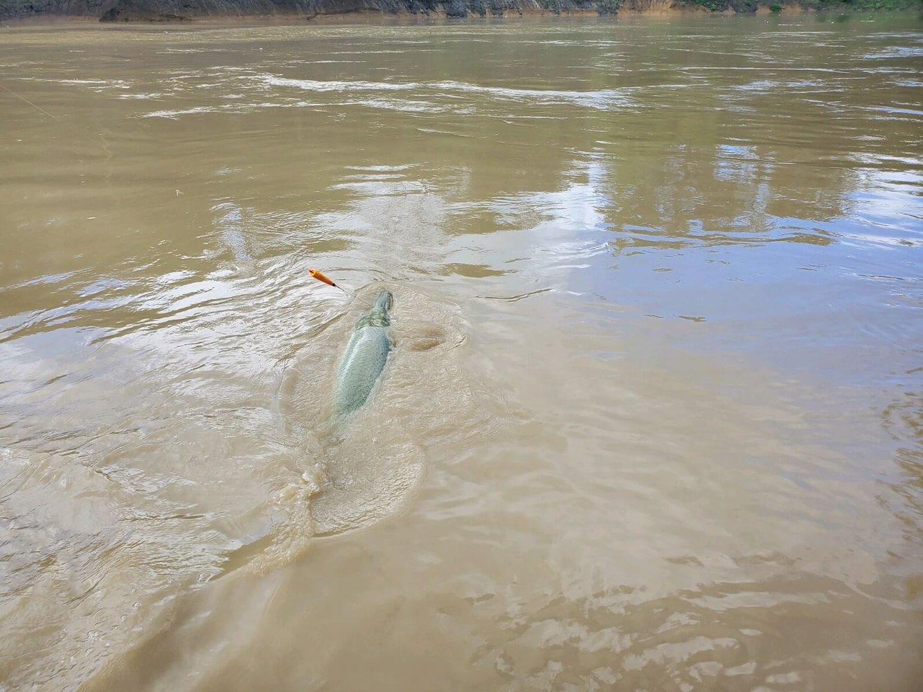 Gar Fishing Trip In Corsicana