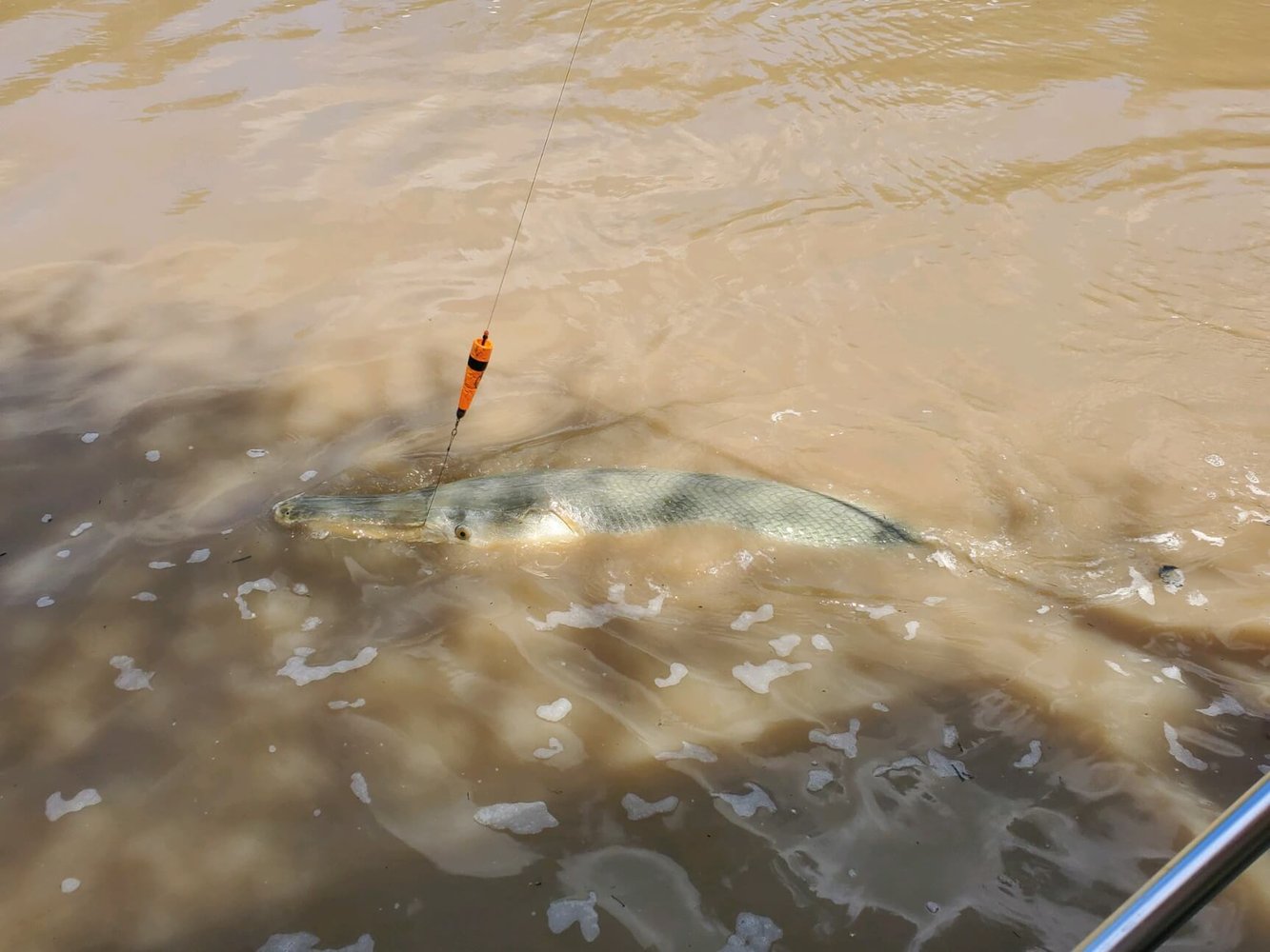 Gar Fishing Trip In Corsicana