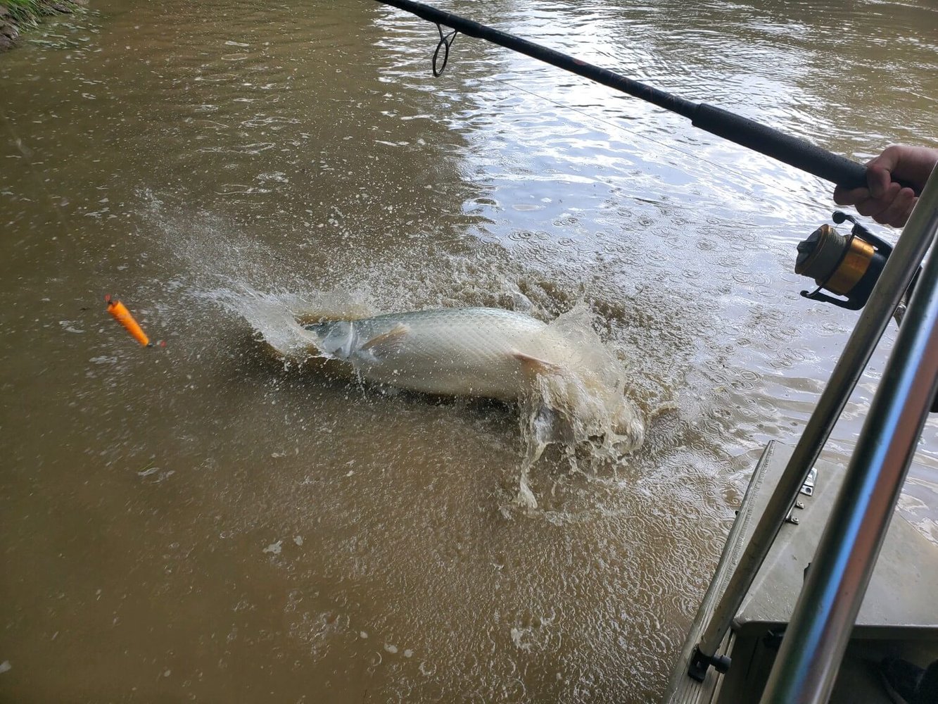 Gar Fishing Trip In Corsicana