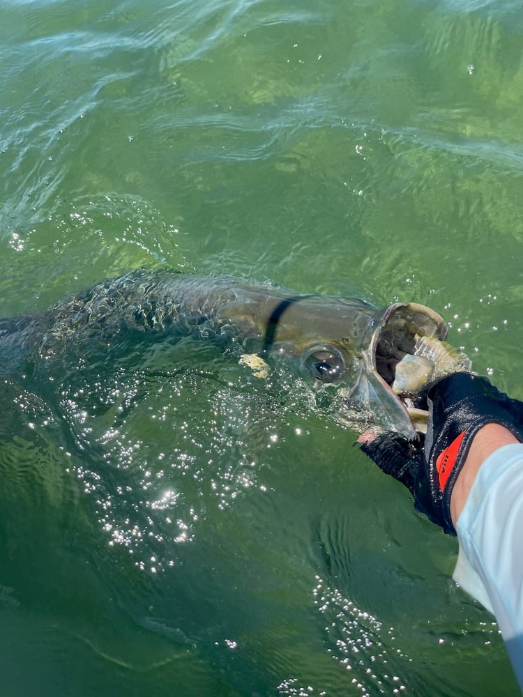 Florida Keys Bonefish & Permit In Summerland Key