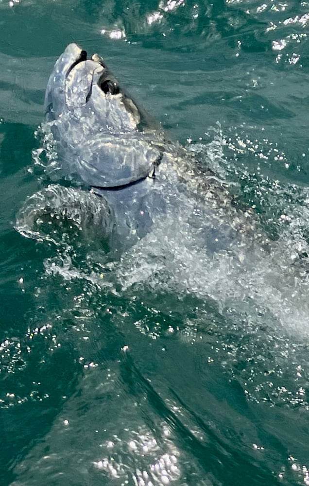 Florida Keys Bonefish & Permit In Summerland Key