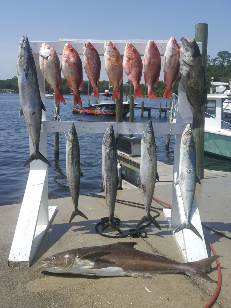 8hr PC Bottom Fishing And MORE In Panama City Beach