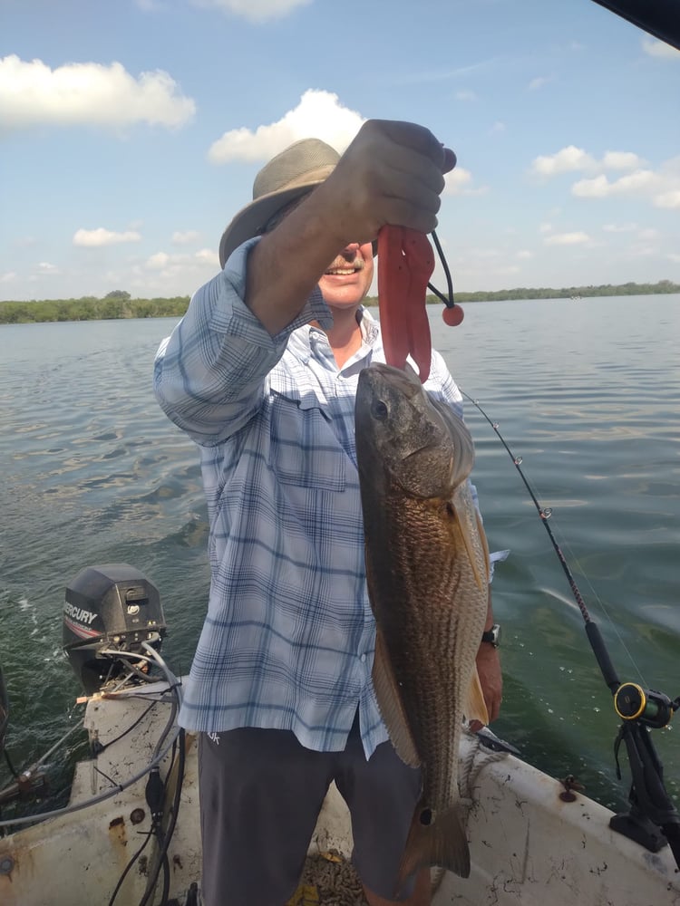 Freshwater Reds - Weekday Trip In San Antonio