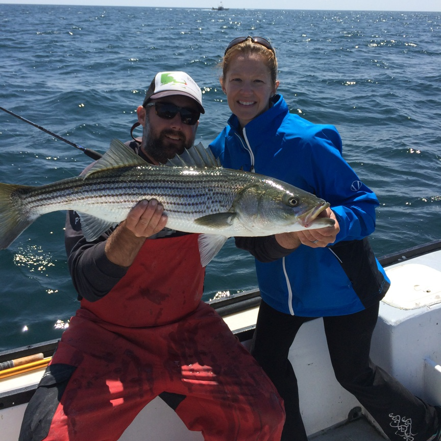 Fall Striper Trip - 26' Regulator In Chatham