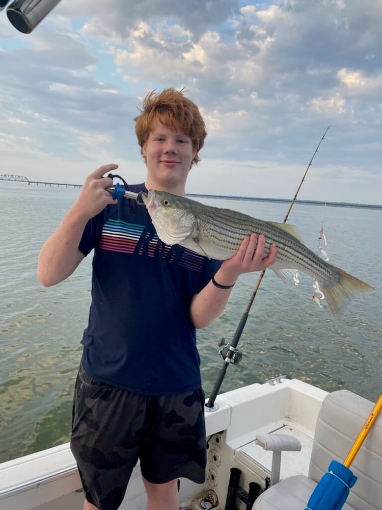 Half Day Bass (AM Or PM) In Pottsboro