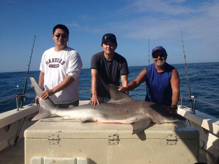 Big Shark Hunt Offshore In Galveston