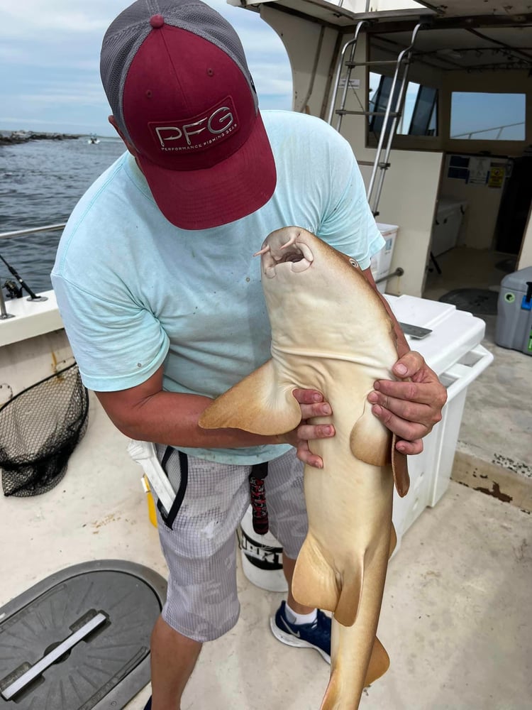 Big Shark Hunt Offshore In Galveston