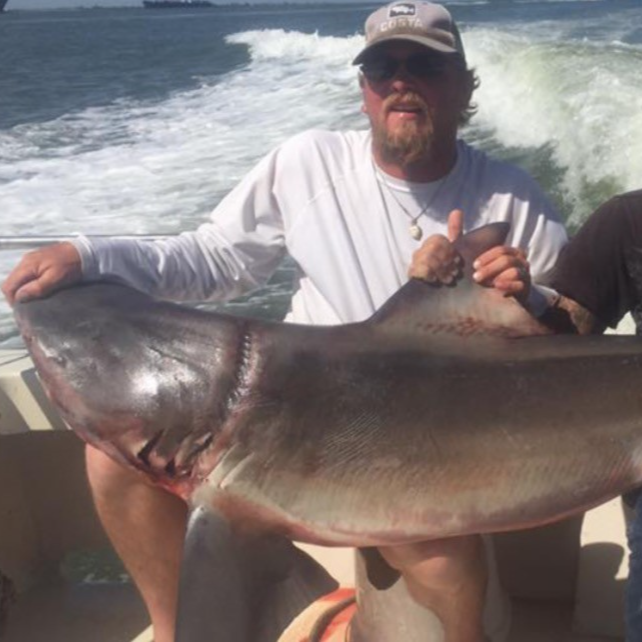 Big Shark Hunt Offshore In Galveston