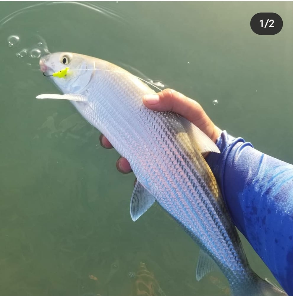 Bank And Bight Backcountry In Islamorada