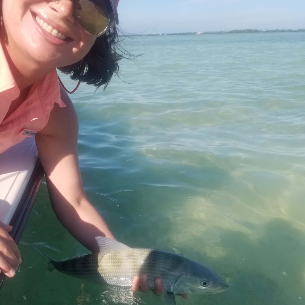 Bank And Bight Backcountry In Islamorada