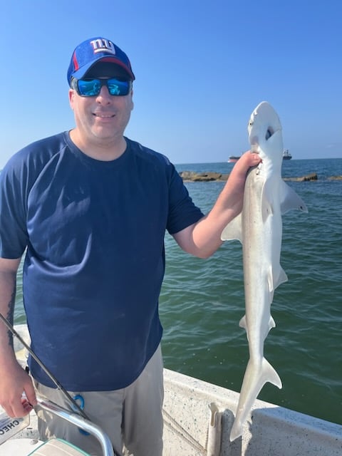 Galveston Bay Shark Special In Galveston