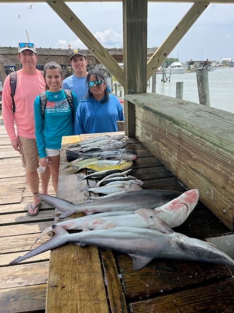 Galveston Bay Shark Special In Galveston