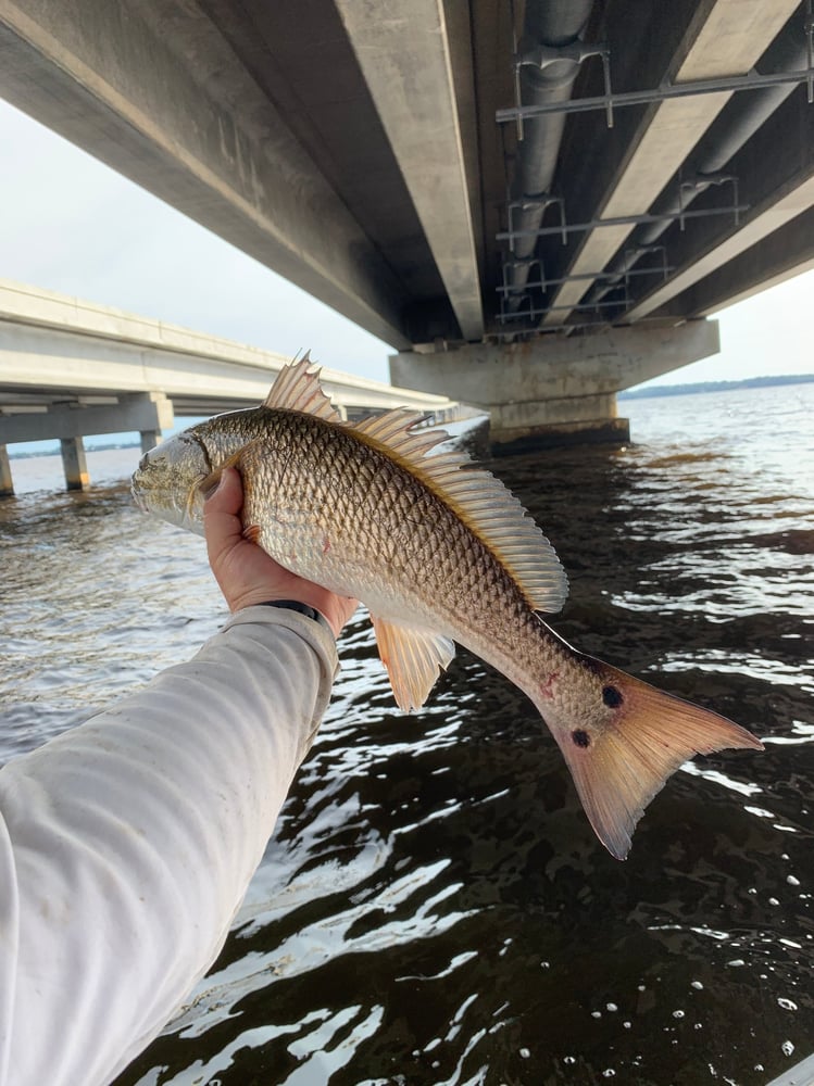 Destin Inshore - 23’ Cape Horn In Santa Rosa Beach