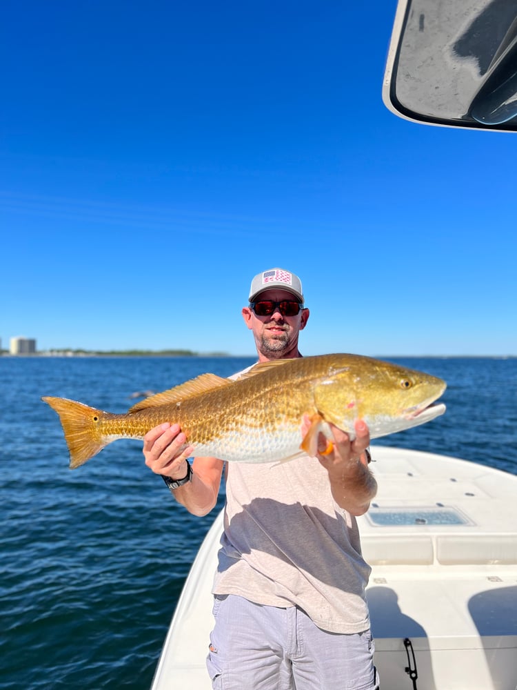 Kids Fishing - 25’ Sea Born In Panama City