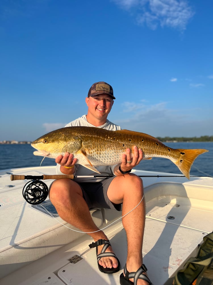 Kids Fishing - 25’ Sea Born In Panama City