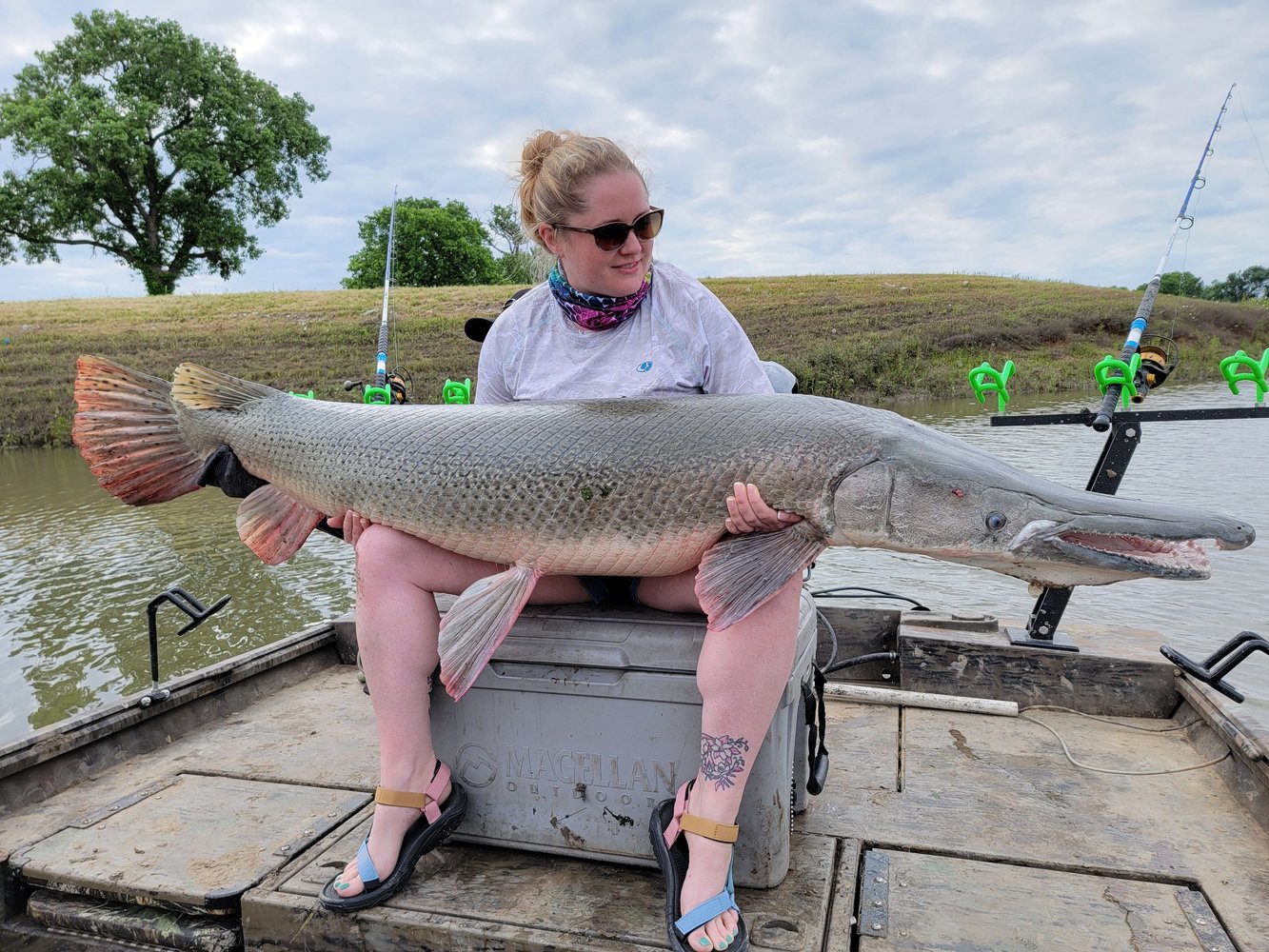 Giant Alligator Gar Adventure In Corsicana