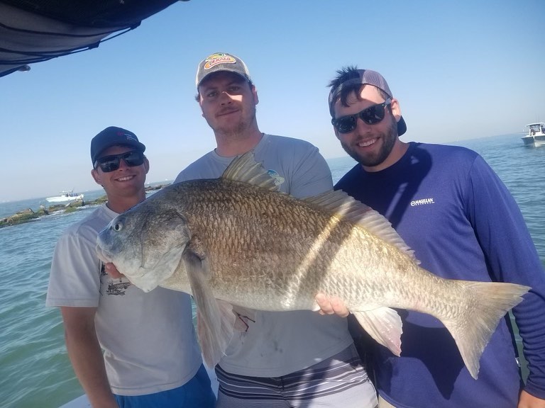 Shark Hunt- 23' Edgewater (June-August) In Galveston