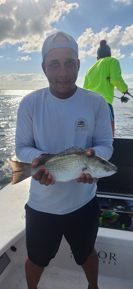 Bank And Bight Backcountry In Islamorada