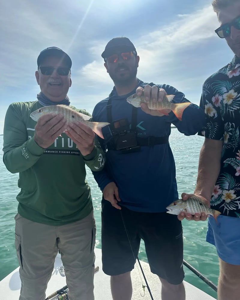 Bank And Bight Backcountry In Islamorada