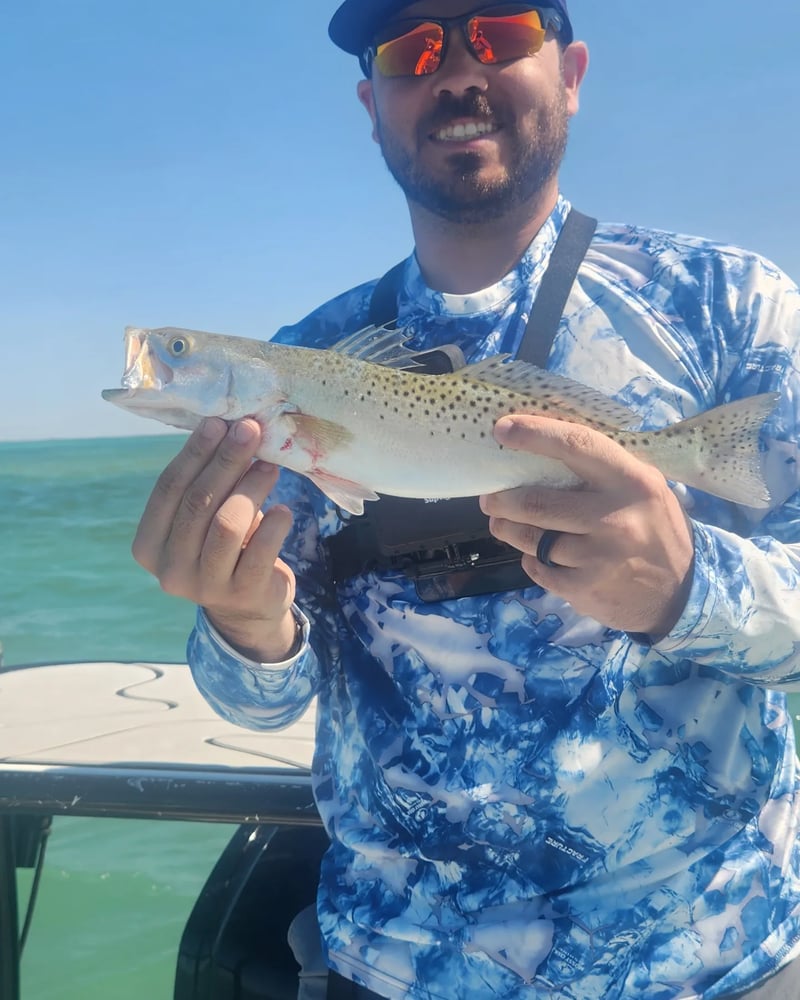 Bank And Bight Backcountry In Islamorada