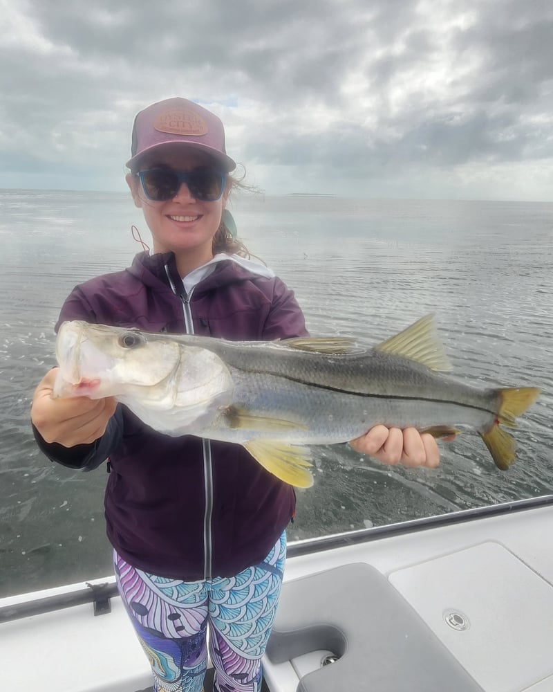 Bank And Bight Backcountry In Islamorada