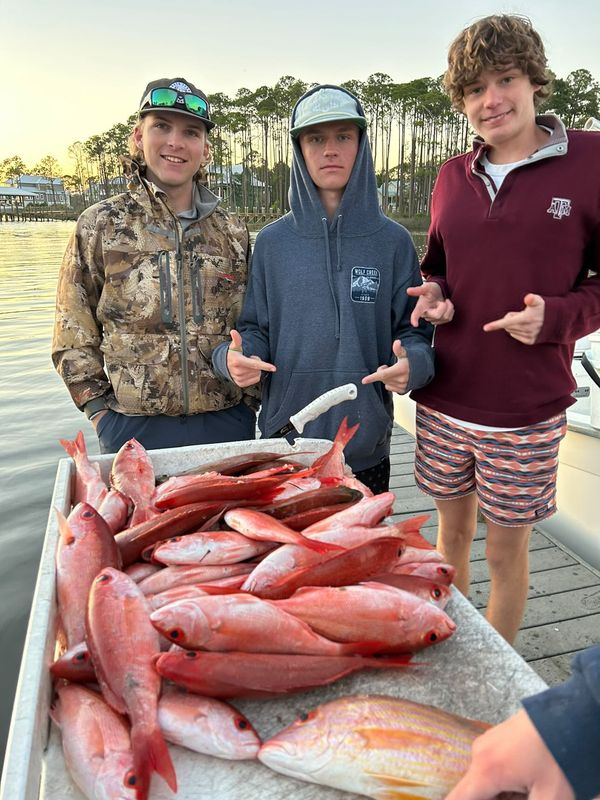 Into The Deep: Destin Offshore In Santa Rosa Beach