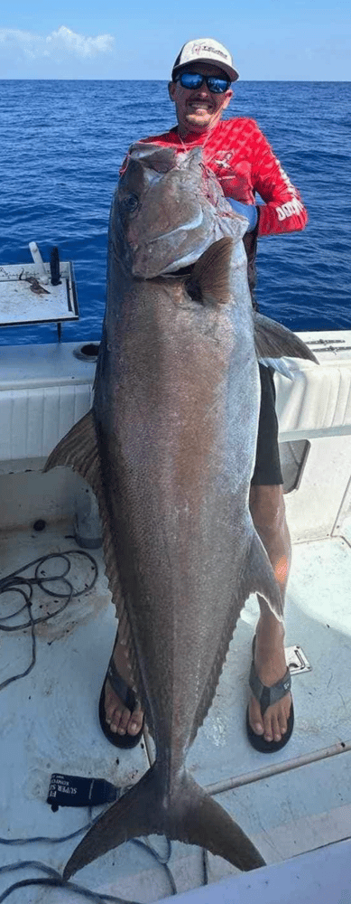 Giant Amberjack Trip In Galveston